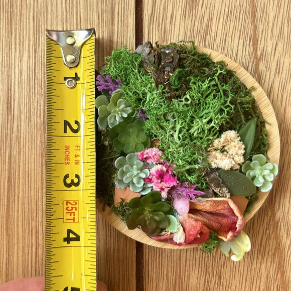 💚🌸🍃Original, handmade “with love” moss art 💚❤️❤️❤️ - Picture 6 of 6